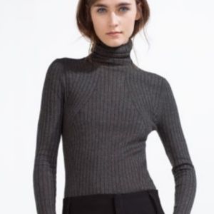 Zara Knit Fitted Turtleneck
